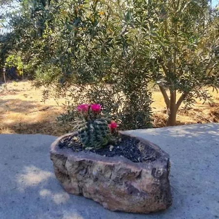 בית נופש La Morada אל פאסו